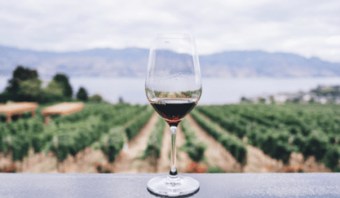 Barcelona-Tasting-Wine