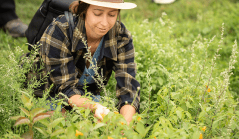 Saint-Jean-Port-Joli-Quebec-Experience-5