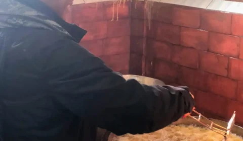 Tunisia-2024-06-17-at-10.28.46-7