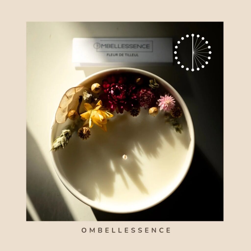 494200043 1238590771605115 1882554580241527300 n