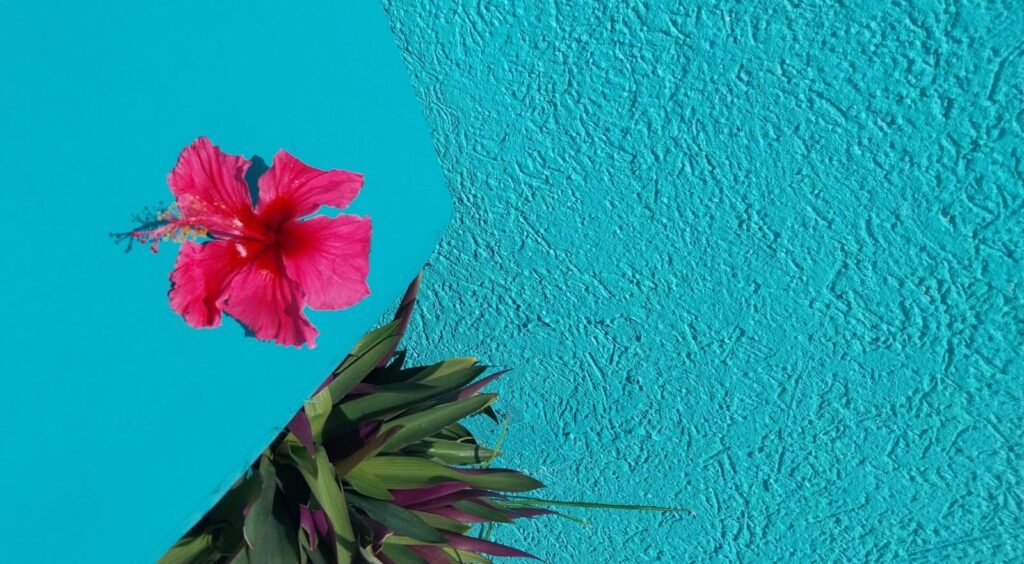 caribbeancreativetourism7