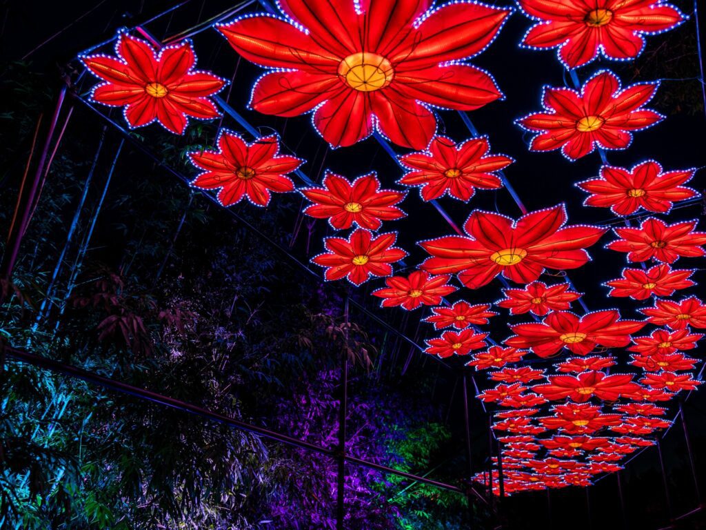 484372502 1047433337417950 7371647256053618024 n