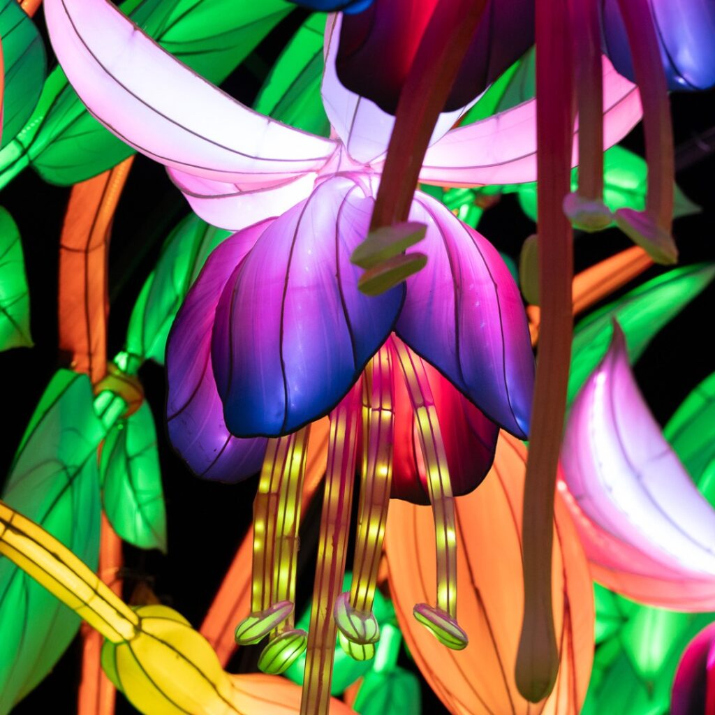 486369601 1053368516824432 3497754273688239756 n