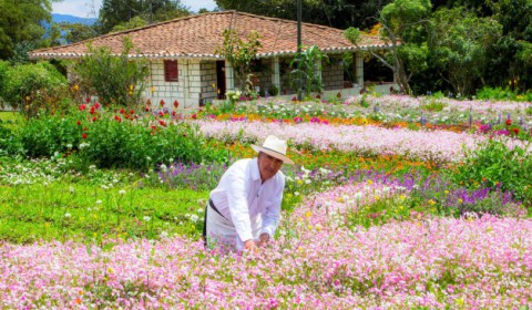 Routes to hydrangea and orchid crops Medellin Colombia
