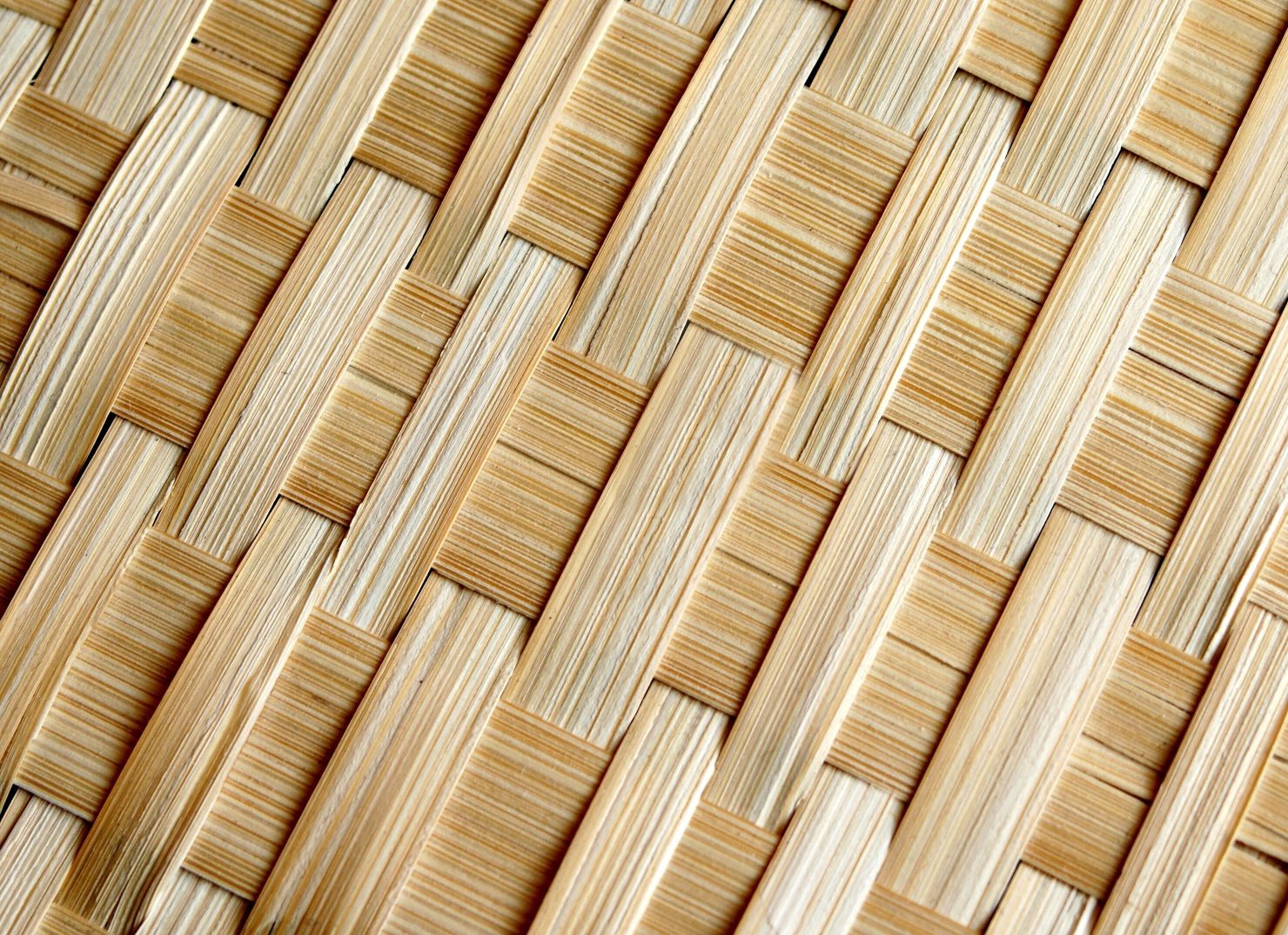 bamboo