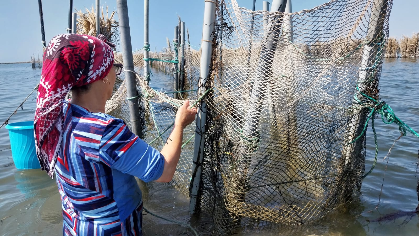 Pêche traditionnelle à la charfiya - Kerkennah