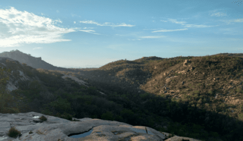 Portugal-Loule-Experience-6