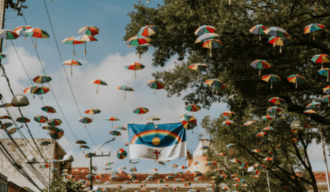 Recife-Experiences-2024-11