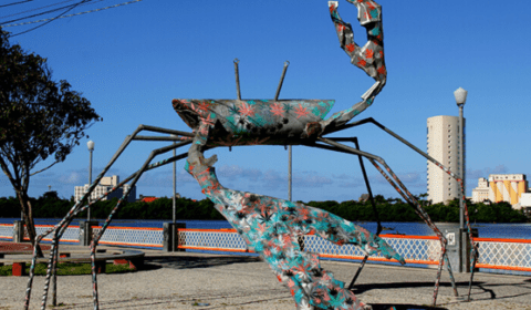 Recife-Experiences-2024-3