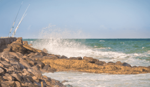 Recife-Experiences-2024-5