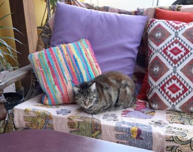 NicosiaCreativeTourism NicosiaCreativeTourism